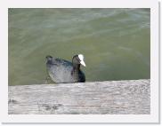 img_4742 * 2048 x 1536 * (772KB)
