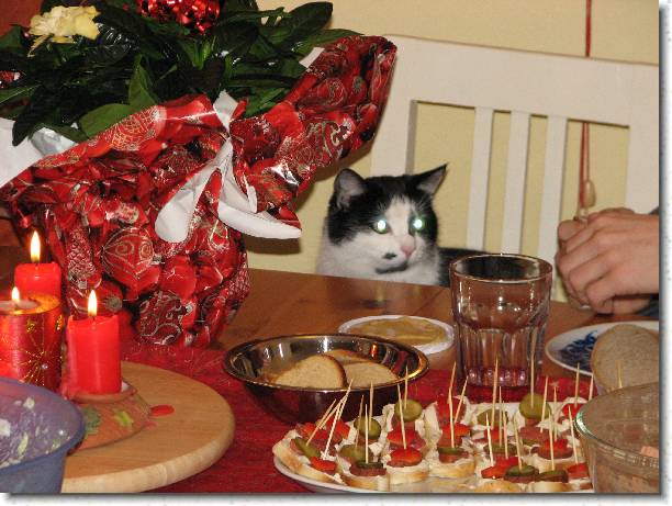 Dal?? sn?mek