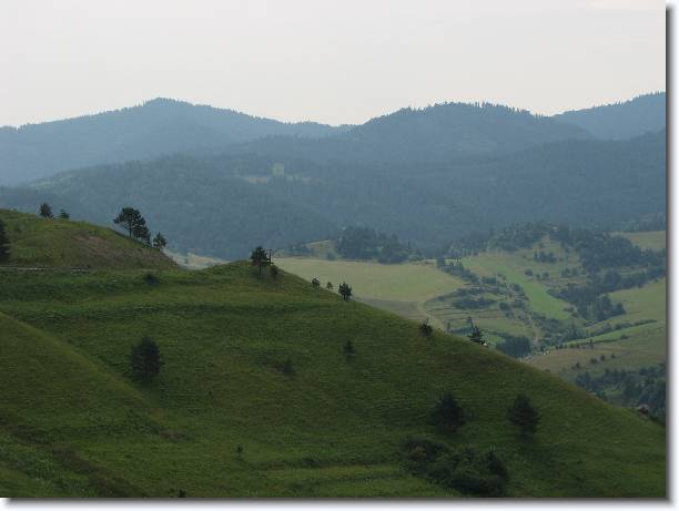 Dal snmek