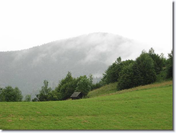 Dal snmek
