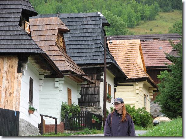 Dal snmek
