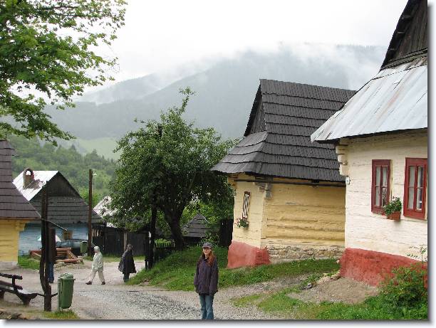 Dal snmek