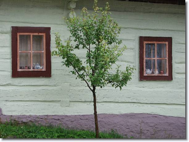 Dal snmek