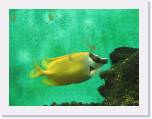 IMG_0981 * 2592 x 1944 * (1.41MB)