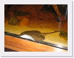 IMG_0987 * 2592 x 1944 * (1.33MB)