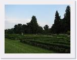 IMG_1007 * 2592 x 1944 * (1.31MB)