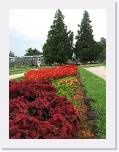 IMG_1032 * 1944 x 2592 * (1.7MB)