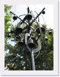 IMG_1057 * 1536 x 2048 * (1.33MB)