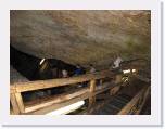 IMG_1133 * 2592 x 1944 * (1.53MB)