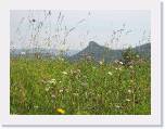 IMG_1420 * 2592 x 1944 * (1.8MB)