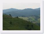IMG_1426 * 2592 x 1944 * (1.1MB)