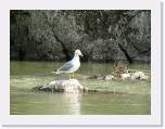 IMG_1468 * 2592 x 1944 * (1.67MB)