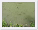 IMG_1489 * 2592 x 1944 * (1.12MB)