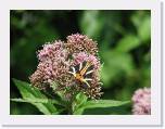 IMG_1494 * 2592 x 1944 * (1.34MB)