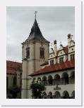 IMG_1529 * 1944 x 2592 * (495KB)