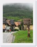 IMG_1552 * 1944 x 2592 * (1.79MB)