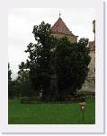 IMG_1586 * 1944 x 2592 * (1.41MB)