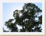 IMG_1895 * 2592 x 1944 * (1.83MB)