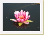 IMG_1899 * 2592 x 1944 * (1.14MB)
