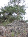 IMG_3605 * 1704 x 2272 * (1.19MB)