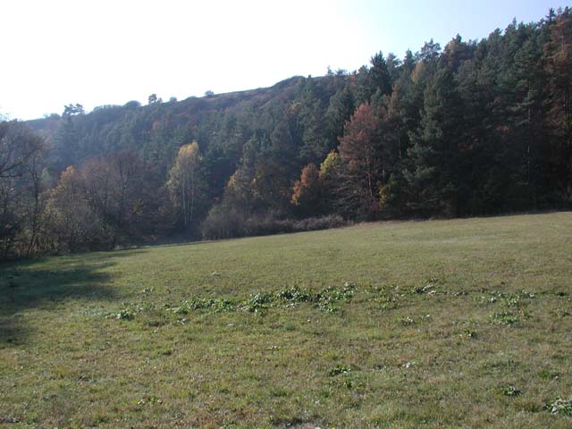 P1010054