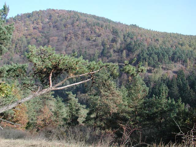 P1010059