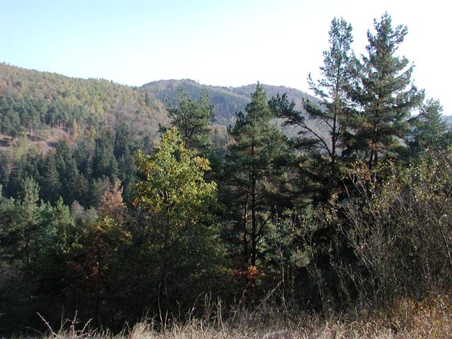 P1010060