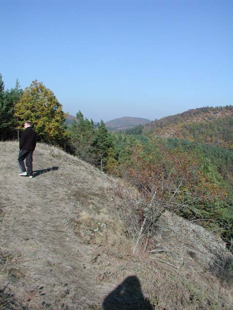 P1010069