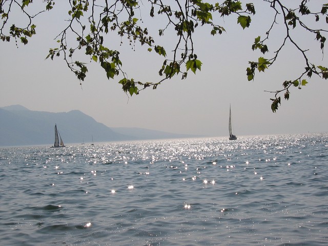 14. kvtna 2004 16:52:39