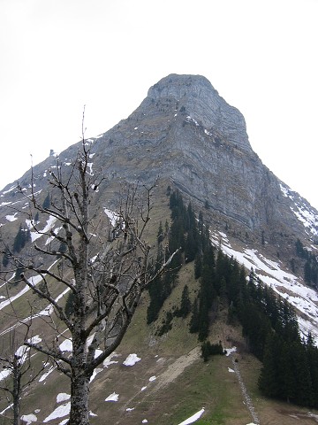 15. kvtna 2004 14:39:37