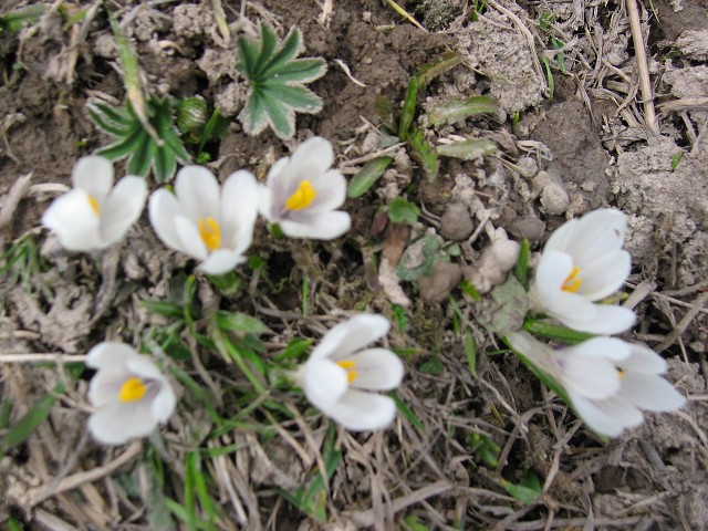 15. kvtna 2004 14:48:44
