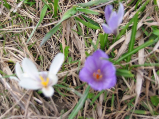 15. kvtna 2004 14:49:25