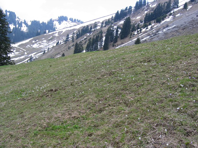 15. kvtna 2004 14:50:26