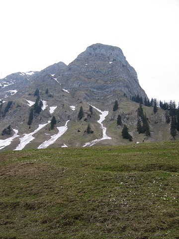 15. kvtna 2004 14:51:15