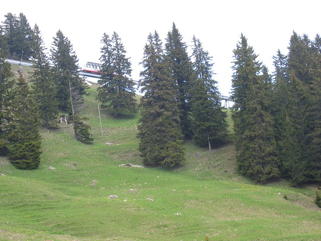 15. kvtna 2004 14:52:11