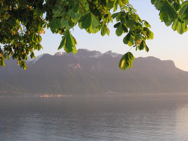 17. kvtna 2004 20:34:46
