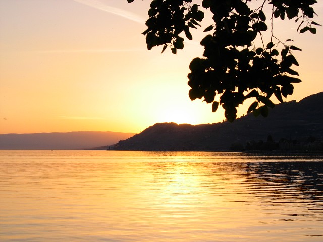 17. kvtna 2004 20:49:27