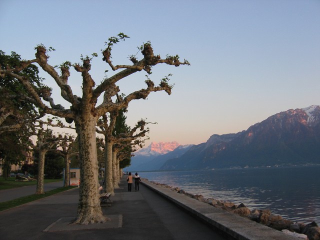 17. kvtna 2004 20:53:43