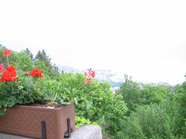 19. kvtna 2004 19:33:47