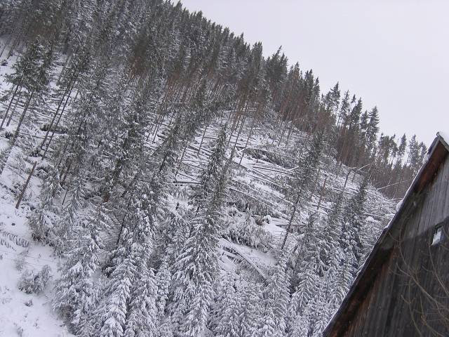20. ledna 2005 16:22:15