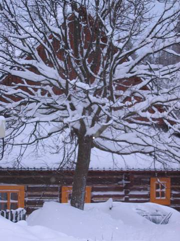 20. ledna 2005 16:37:16