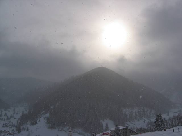 21. ledna 2005 11:48:00