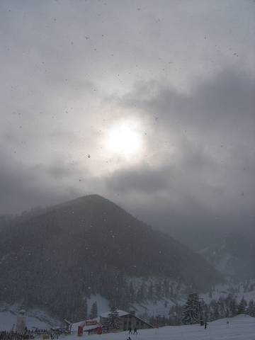 21. ledna 2005 11:48:44