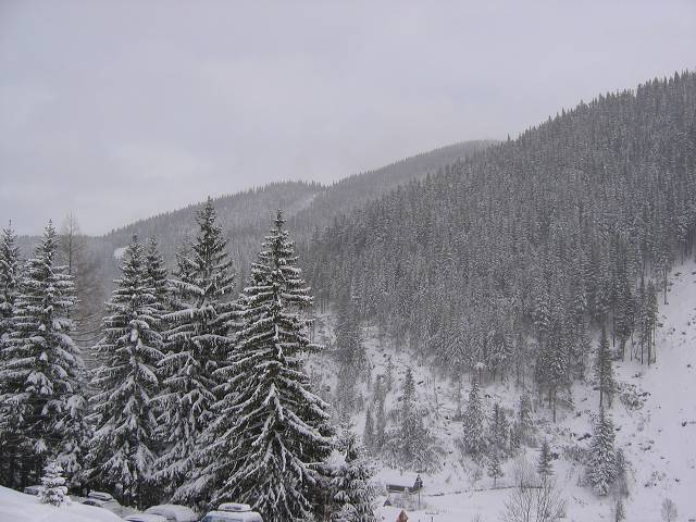21. ledna 2005 12:08:17