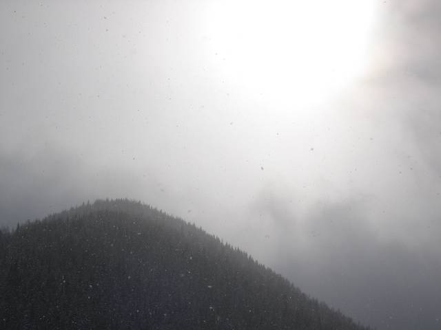 21. ledna 2005 12:16:53