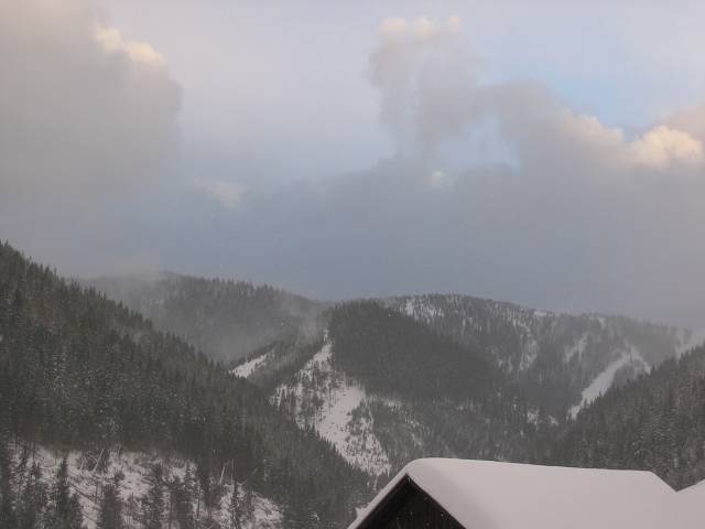 21. ledna 2005 16:31:30