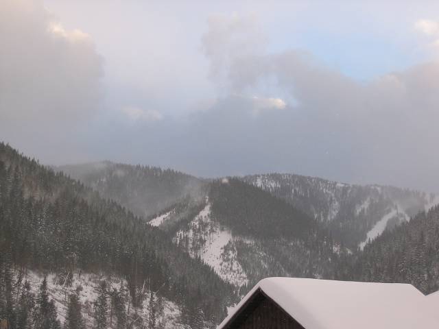 21. ledna 2005 16:31:40