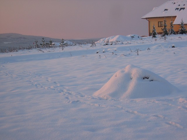 9. listopadu 2004 8:22:34