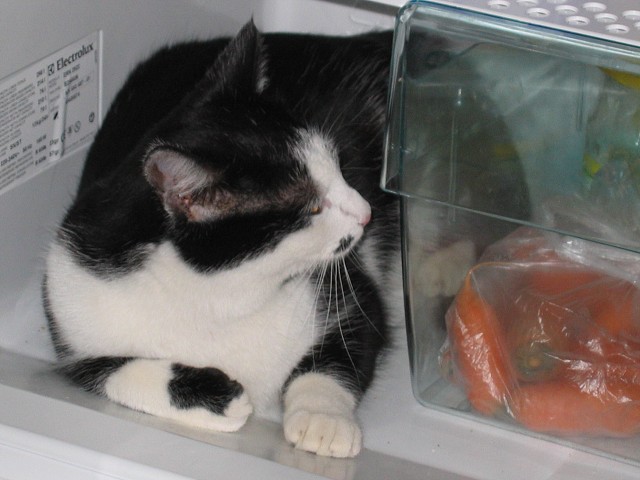 16. listopadu 2004 13:08:08