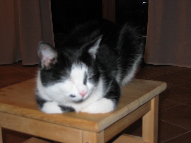 19. listopadu 2004 22:32:15